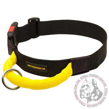 Nylon Training Collar for Pit Bull with Strong Handle