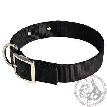 Walking Nylon Pit Bull Collar with Buckle