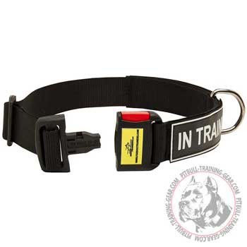 Lightweight Training Dog Collar for Pit Bull with Quick Release Buckle
