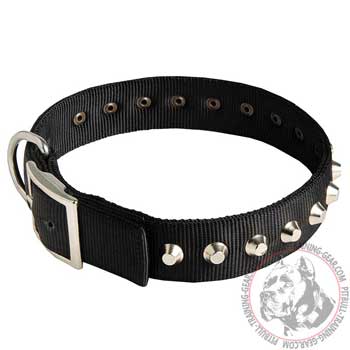Nylon Pit Bull Collar with Silver Pyramids for Walking