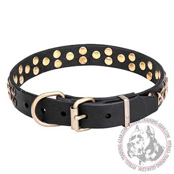 Dog Collar for Pit Bulls, strongly riveted buckle