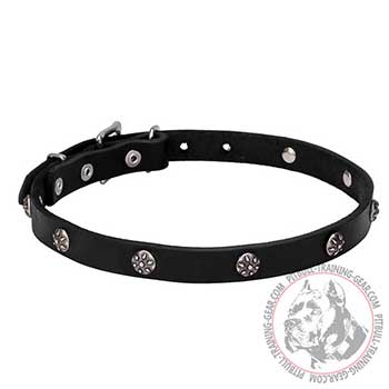 3/4 inch Leather Dog Walking Collar for Pit Bull 