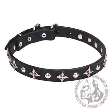 Dog Collar for Pit Bulls, sturdy genuine leather