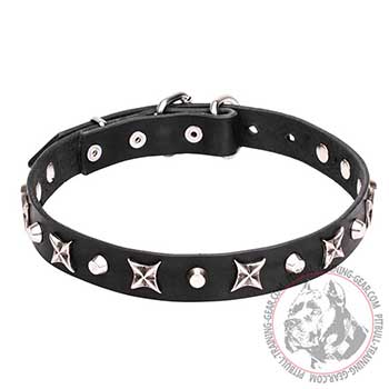 Dog collar for Pit Bulls, 4/5 inch wide