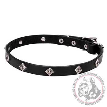 Leather Collar for Pit Bull, soft leather