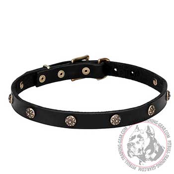 Leather Dog Collar, narrow 3/4 inch strap