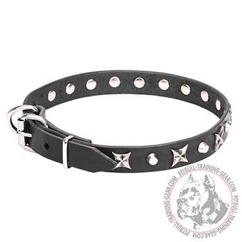 Dog Collar for Pit Bulls, strong genuine leather