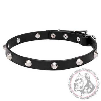 Leather Dog Collar, Riveted Cones