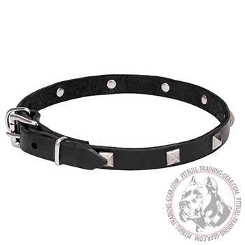 Leather Dog Collar with Pyramids for American Pit Bull Terrier