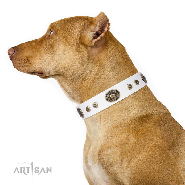 Incredible decorated leather dog collar for easy wearing