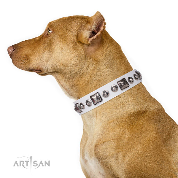 Fashionable embellished genuine leather dog collar for daily walking