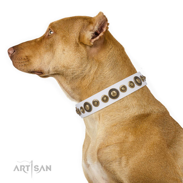 Corrosion resistant buckle and D-ring on genuine leather dog collar for walking