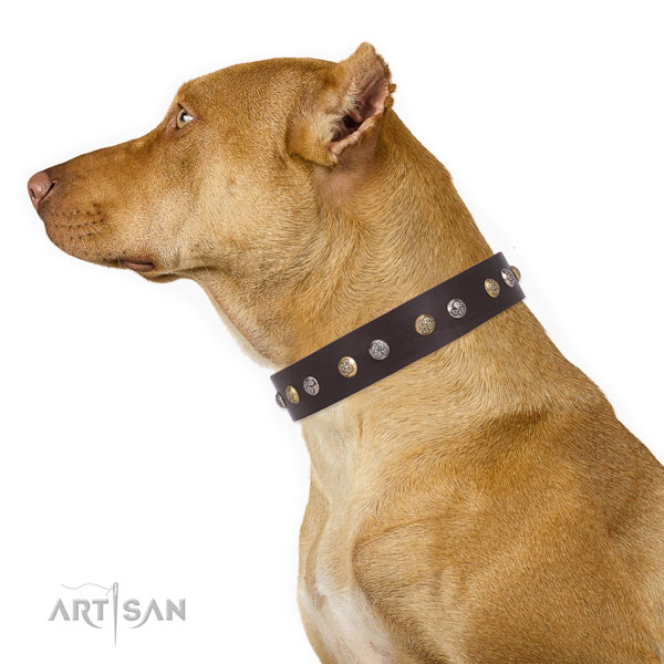 Full grain leather dog collar with rust-proof buckle and D-ring for handy use