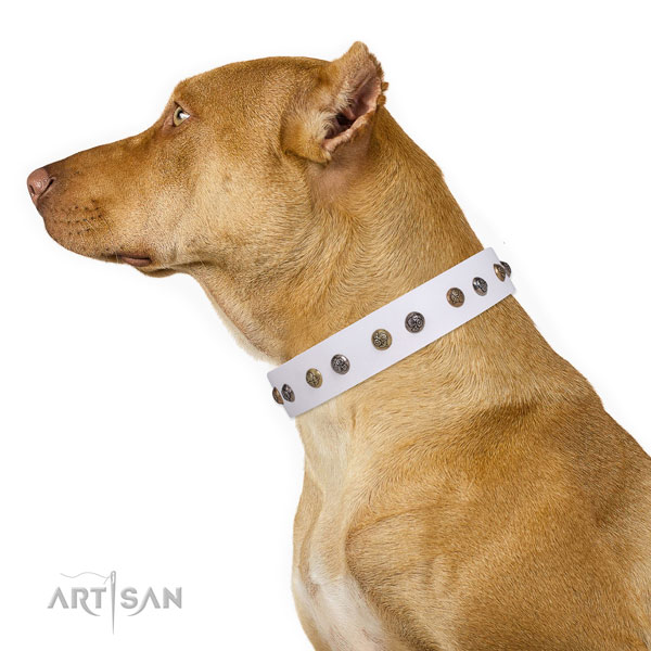 Daily walking decorated dog collar made of top rate natural leather
