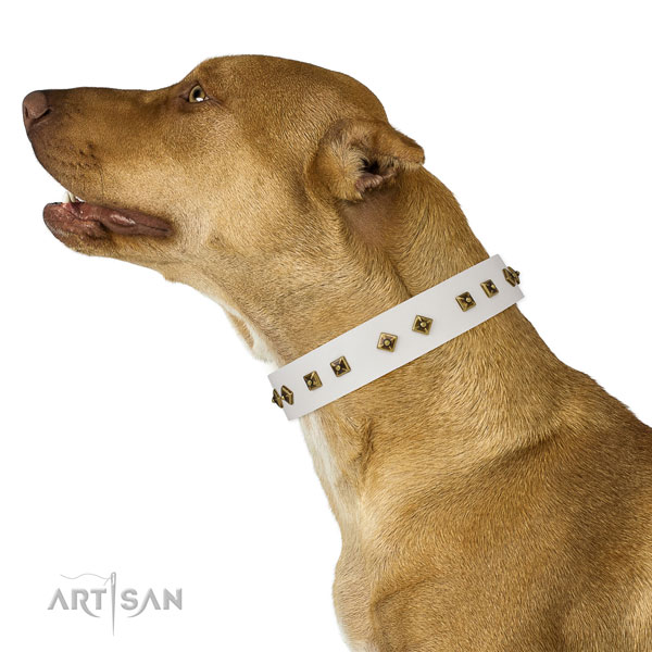 Exquisite studs on handy use dog collar