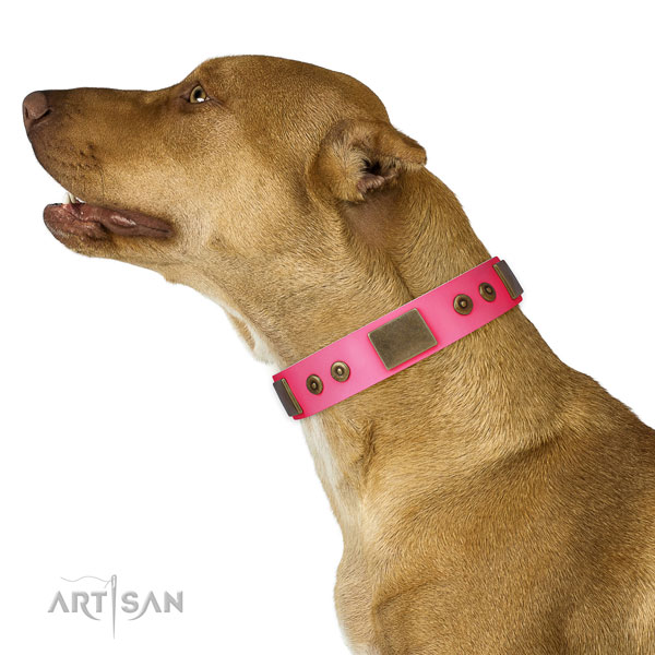 Impressive leather collar for your lovely four-legged friend