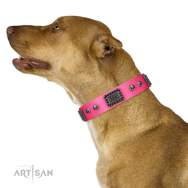 Easy wearing full grain leather collar for your beautiful pet