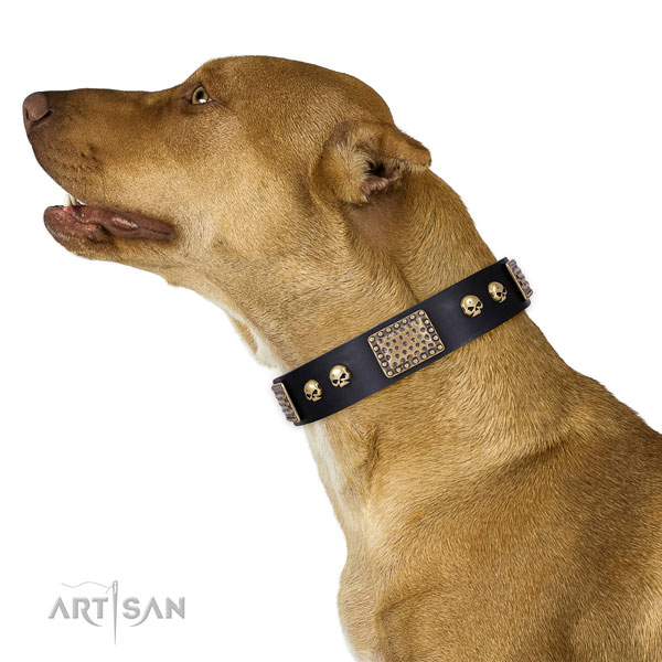 Rust resistant hardware on natural genuine leather dog collar for easy wearing