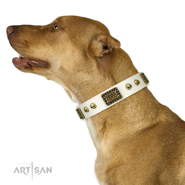 Rust resistant fittings on full grain genuine leather dog collar for easy wearing
