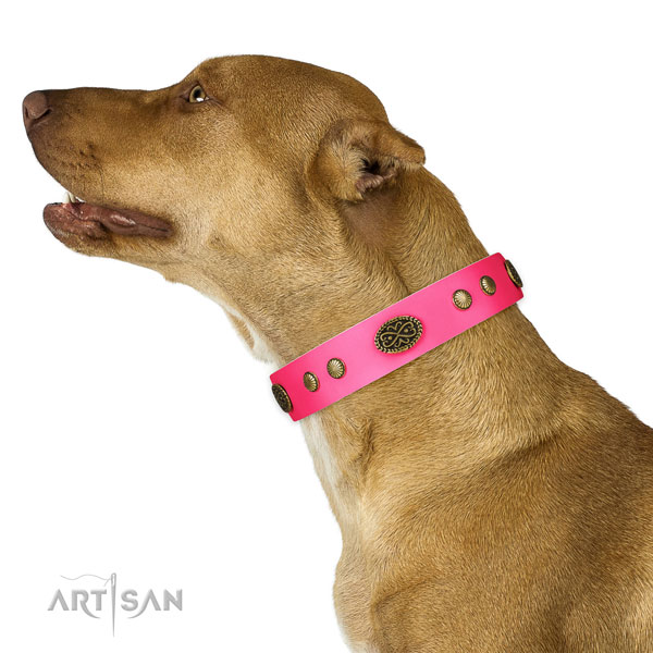Rust-proof D-ring on full grain leather dog collar for easy wearing