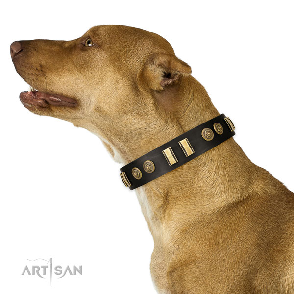 Corrosion proof traditional buckle on natural leather dog collar for everyday use