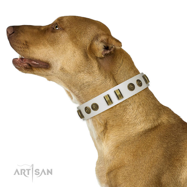 Durable hardware on natural leather dog collar for fancy walking