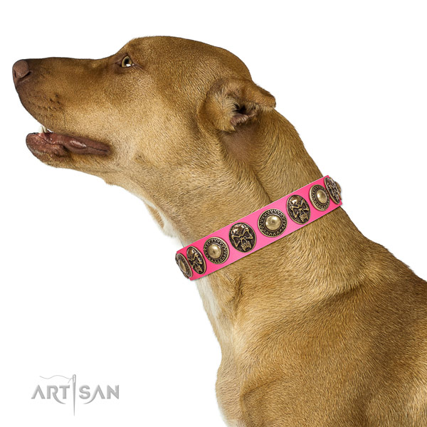 Easy wearing full grain leather collar for your beautiful pet