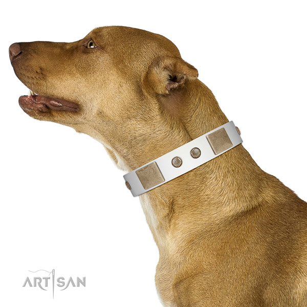 Rust resistant fittings on full grain genuine leather dog collar for easy wearing