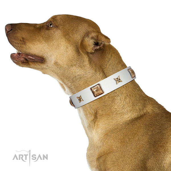 Inimitable full grain genuine leather dog collar with decorations