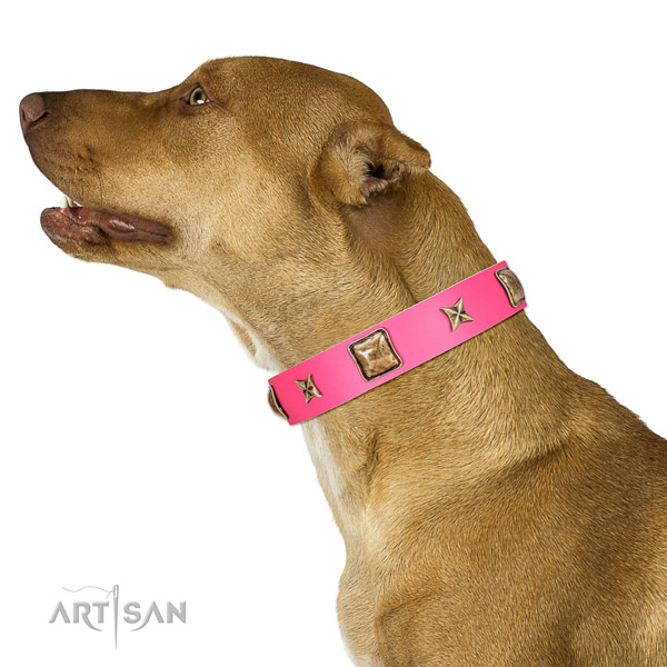 Leather dog collar of gentle to touch material with stylish design decorations