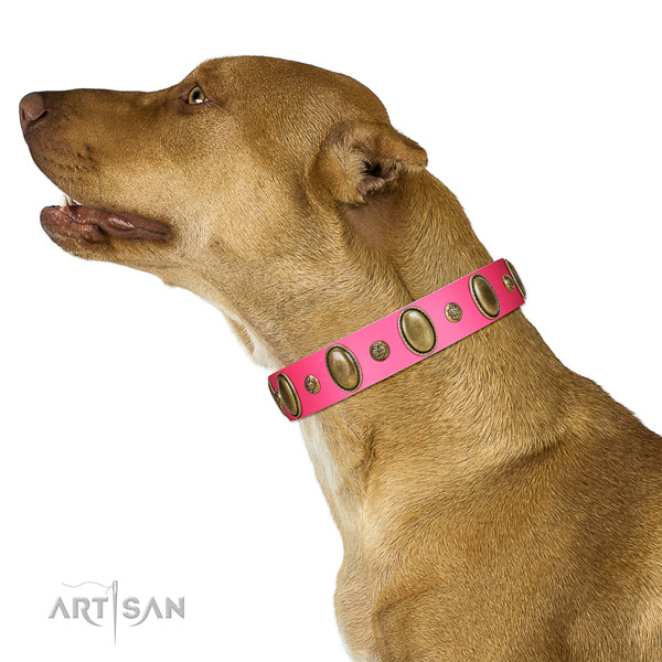 Comfortable wearing flexible leather dog collar with studs