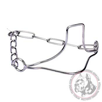 Pit Bull Chain Collar Made of Stainless Steel