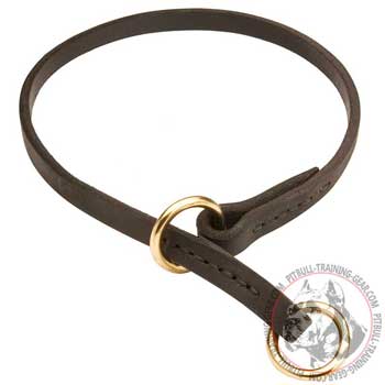 Stitched Pitbull Choke Collar
