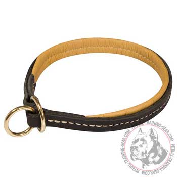 Pitbull Choke Collar with Neat Stitching