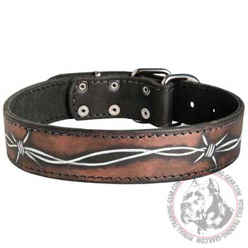 Pitbull Collar with Unique Drawing