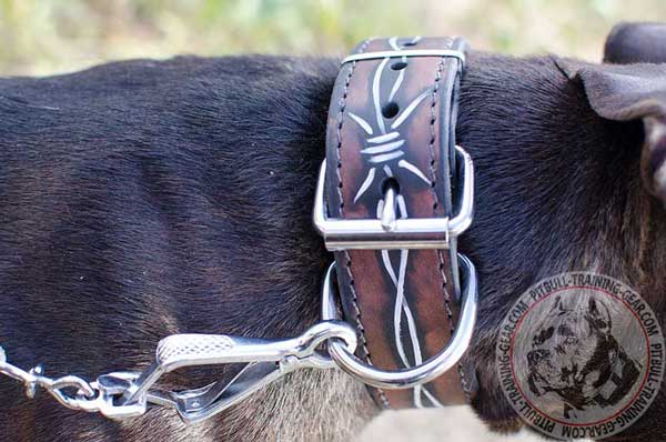 Designer Leather Collar for Pitbull Breed