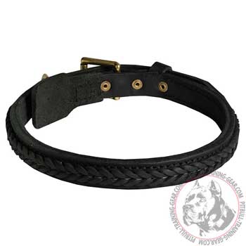 Pitbull Collar with Fancy Braids