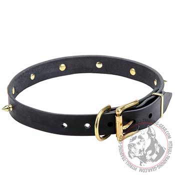 Pit Bull Leather Collar with Brass Buckle