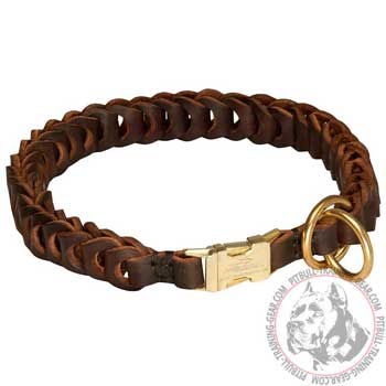 Pitbull Choke Collar with Quick Release Buckle