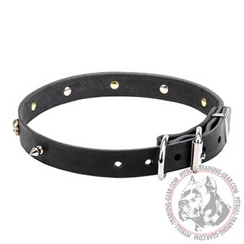 Pit Bull Leather Collar for Dog Walking
