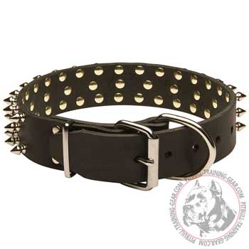 Leather Pitbull Collar with Nickel Plated Buckle