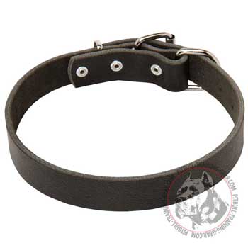 Pitbull Collar for Different Activities
