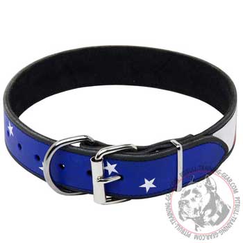 Leather Pitbull Collar with Nickel Plated Hardware