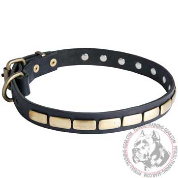 Fabulous Design Plated Leather Dog Collar for Pitbull
