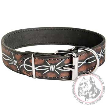 Leather Pitbull Collar with Nickel Plated Hardware