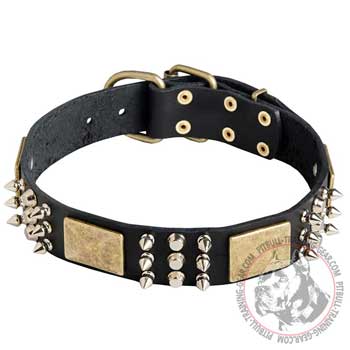 Pitbull Collar with Nickel Plated Studs and Spikes
