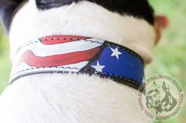 Handpainted with Non-Toxic Paint Leather Dog Collar for Pit Bull