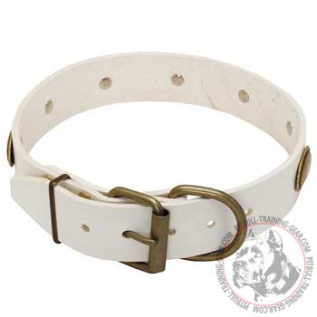 Fabulous Design White Leather Dog Collar with Strong Brass Hardware
