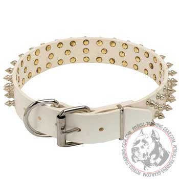White Leather Pitbull Collar with Reliable Nickel-Plated Buckle and D-Ring
