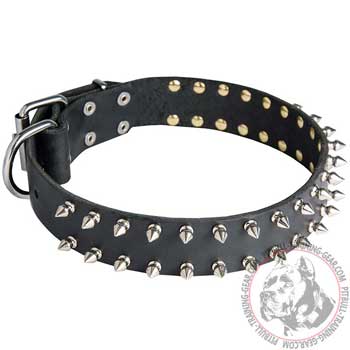 Leather Pitbull Collar with Rustproof Nickel Plated Spikes